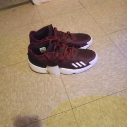 New Adidas Shoes