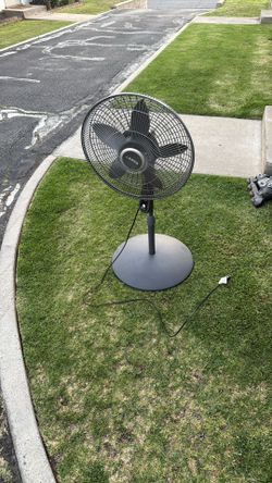 Lasko Fan