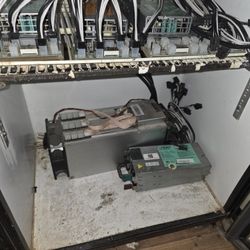 T1 Dragonmint Ant Miners