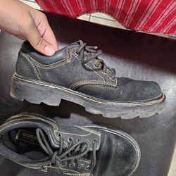 Sketchers