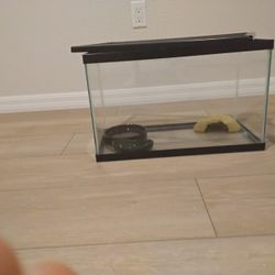 (2) 10 Gallon retile tanks with accessories - $45 (Carlsbad)