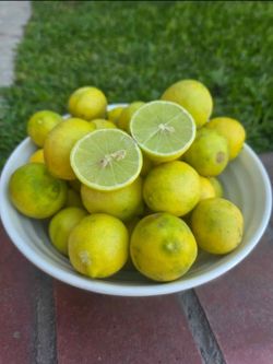 Organic Lemons Mexican Tequilero