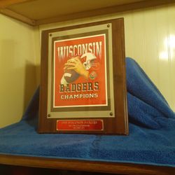 Wisconsin Badgers Rosebowl Champion January 1, 1999 Wood Plaque 15" Tall 12" Wide 3lbs 16 Oz