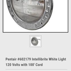Pentair Pool Light