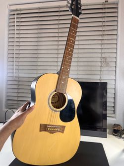Peavey Acoustic Steel String Guitar Pack , Full Size with case