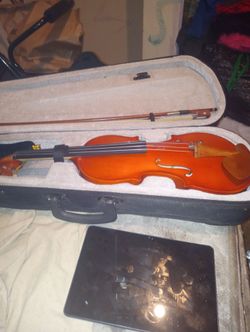 Violin