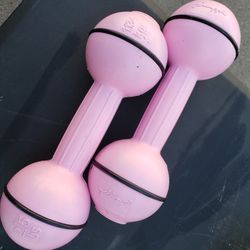 2.5lb Weights, Pineapple Brand, Set Of 2