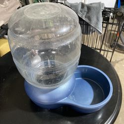 Dog Water Bowl 