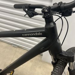 Cannondale bad Boy 2  OBO