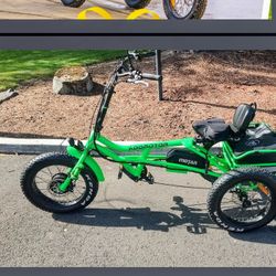 Electric Trike