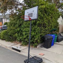 Lifetime Adjustable Basketball Hoop