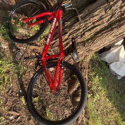 Redline Racing Bike 
