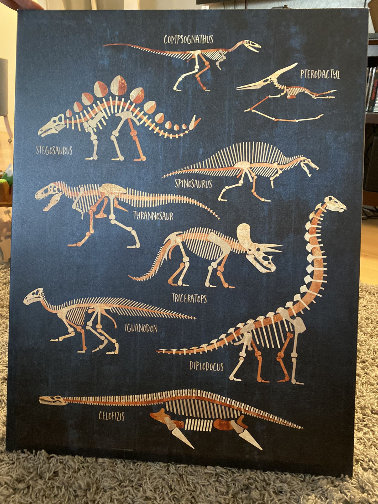 Dinosaur canvas
