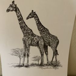 10 Animal Drawings 