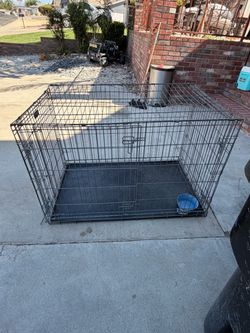 Large Black Wire Dog Crate
