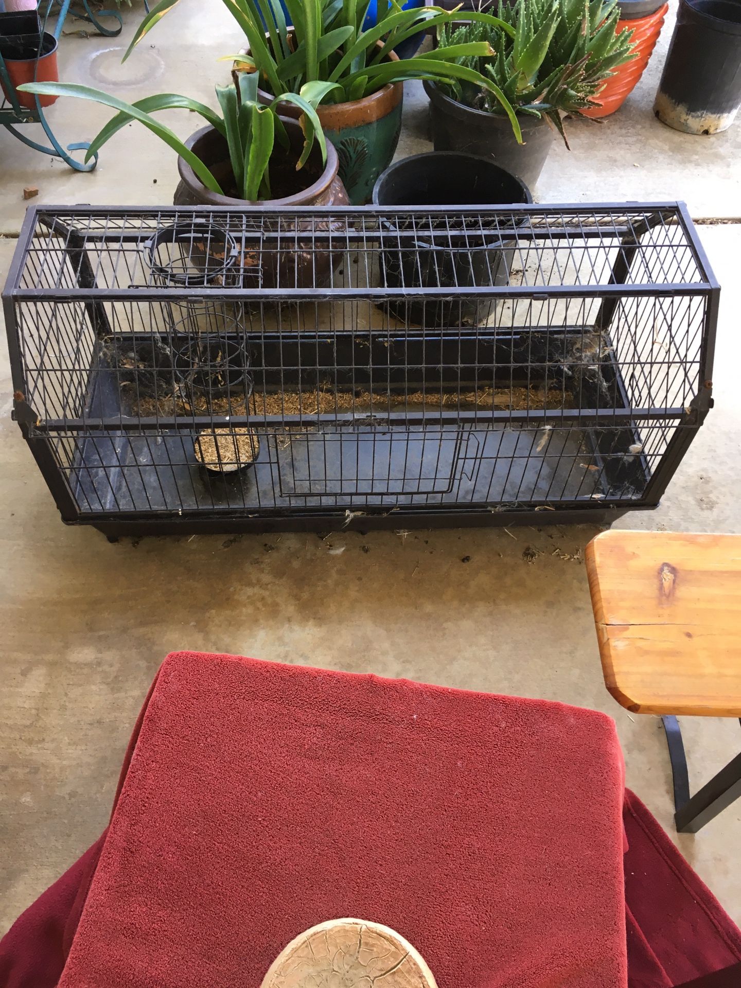 Rabbit Cage