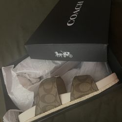 Allanah Sandal In Signature Canvas 4.4 $129 (35