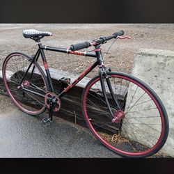 Lager freewheel bike