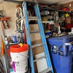 10” aluminum Ladder Werner