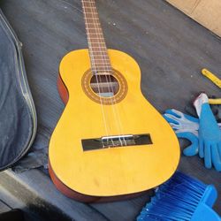 Jasminetakamamine  Guitar