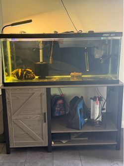 Fish tank
