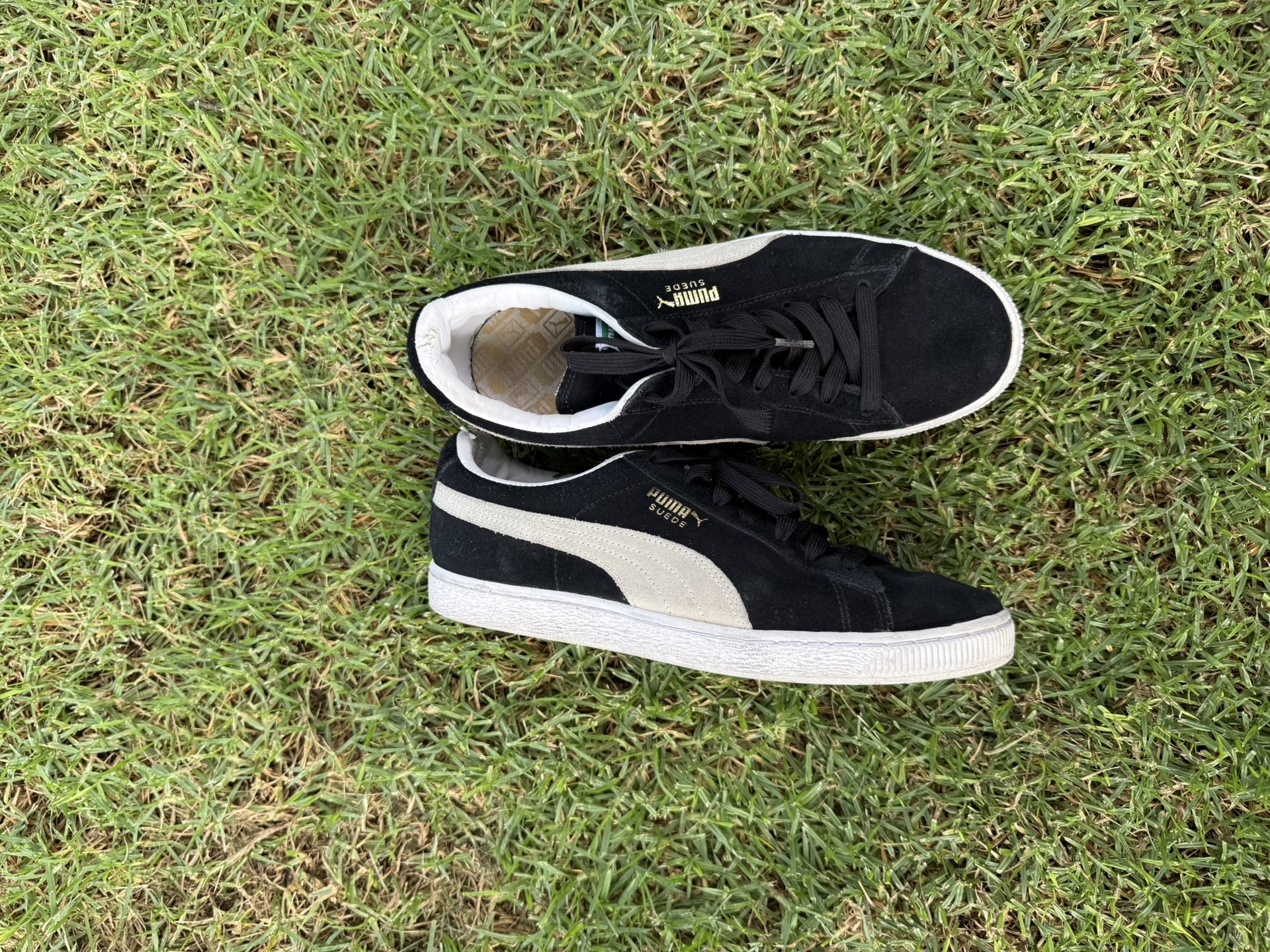 Puma Suede Classic