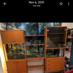 Mid Century Modern Wall Unit 