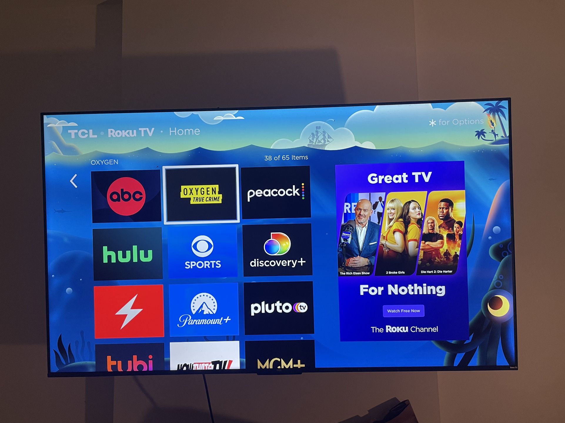Roku Tv 65 Inch