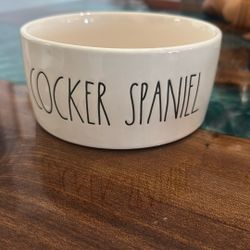 Ray Dunn, cocker spaniel water bowl