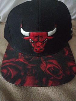 Chicago bulls hat