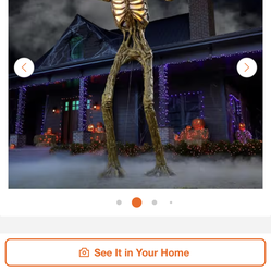 Halloween Skeleton