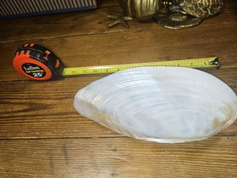 Large Polished Mussell/Pearl Shell Tray