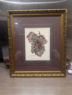 Vintage Beautiful Frame