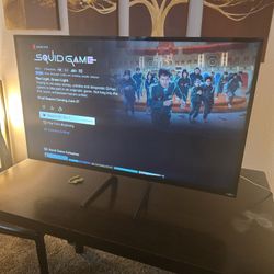 Vizio Model D48-D0 48" HDTV 