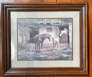 Framed Horse & Foal Art Print