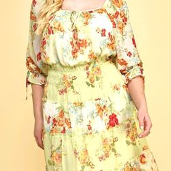 Figueroa & Flower
Pistachio Print Smocked
Midi Dress Size 2xl