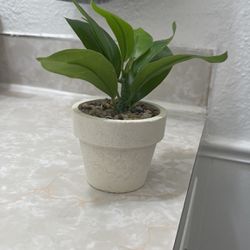 Mini Plant (fake)