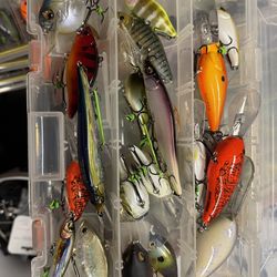 Megabass, lucky craft cranks jerkbait topwater