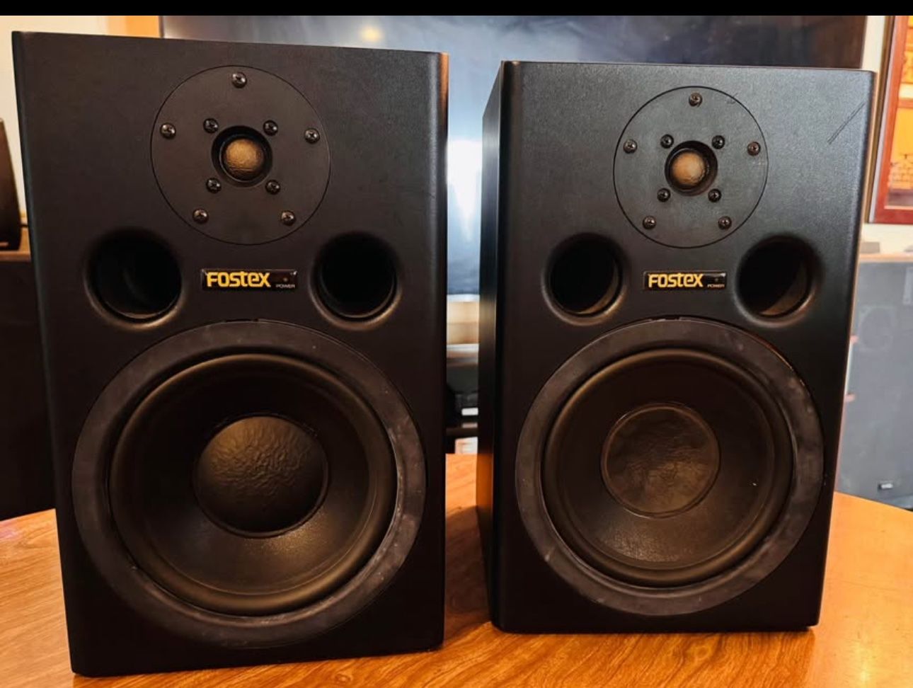 Monitor Speakers - Fostex PM 2