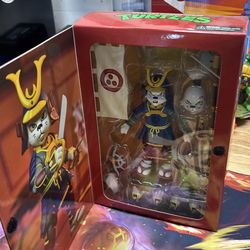 Teenage mutant ninja turtles