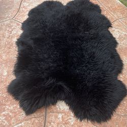 Black Area Rugs