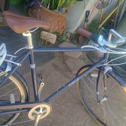 N Public Bike 28inch  Nic On