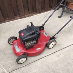 Land mower 