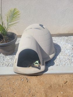 Igloo dog house