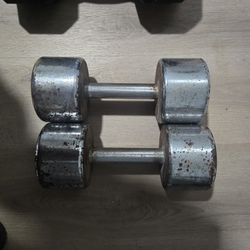 25lbs Dumbells 