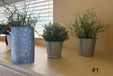 Faux Plants & Home Decor