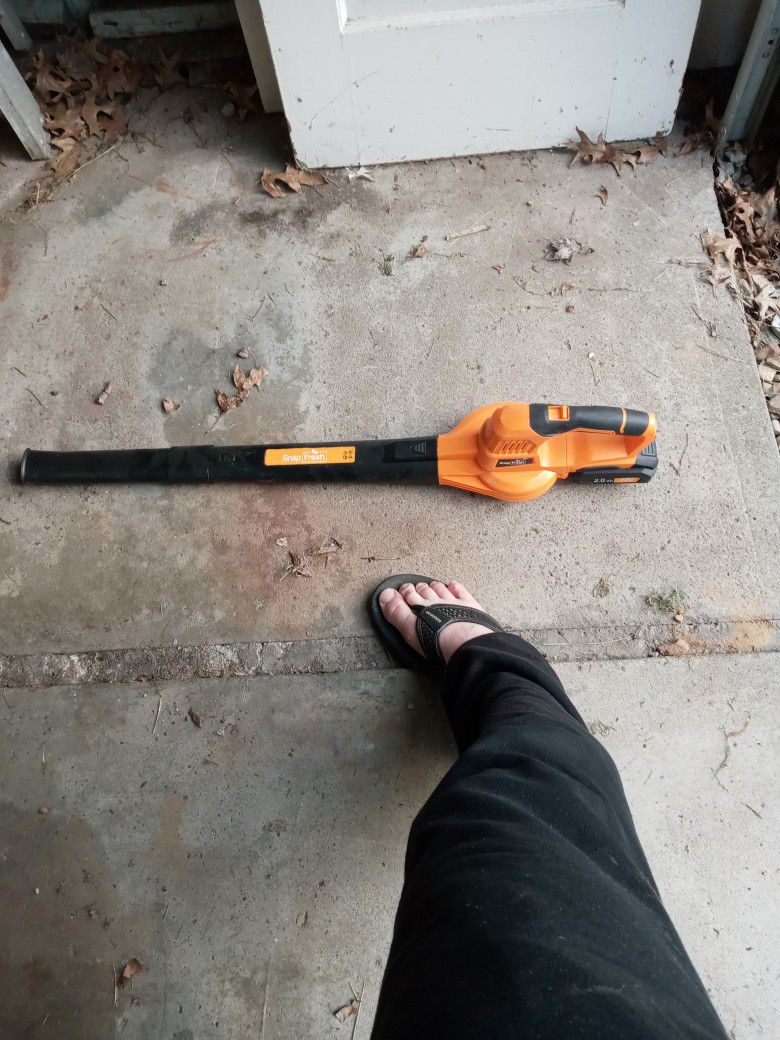 Electric Leaf Blower (Cordless, Battery Operated)