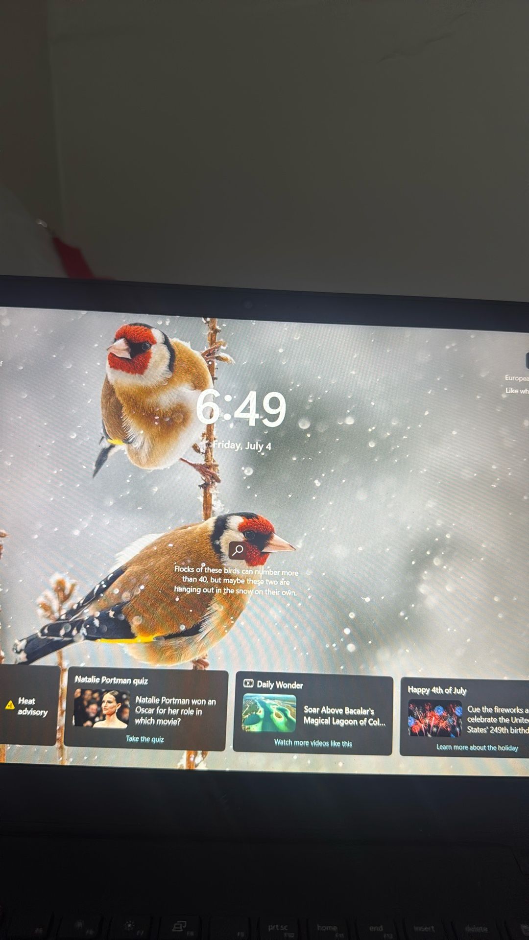 DELL LAPTOP