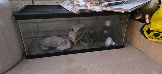 Reptile Terrarium set