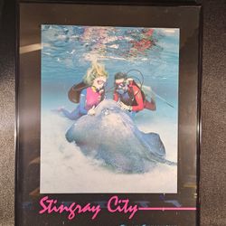 Stingray City Grand Cayman B.W.I. (British West Indies) 24.25"x18.25" Steel Framed Poster Print!